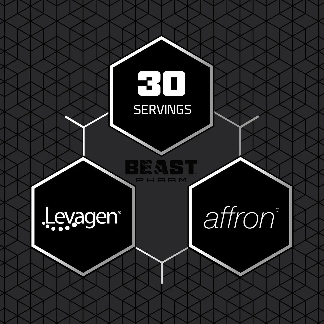 BIG Z - Strom Sports Australia -