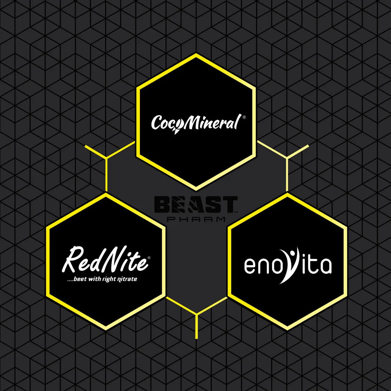 HYDRO // Hydration & Electrolytes