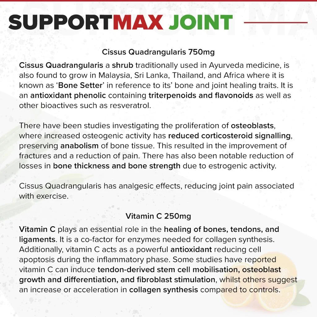 SupportMAX Joint // Anti-inflammatory, Tendons & Cartilage